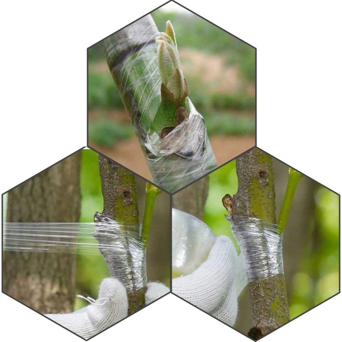 Garden Grafting Tape